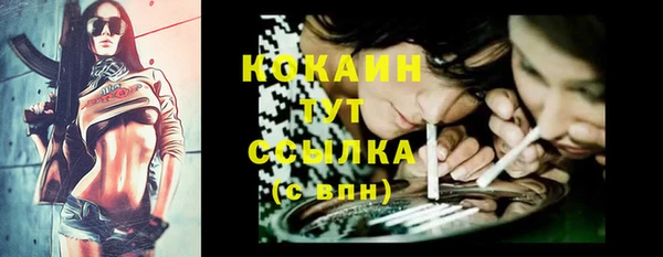 кокс Бородино