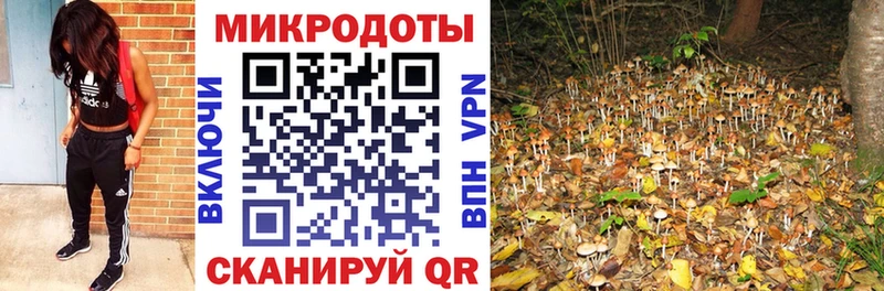 Псилоцибиновые грибы Cubensis  купить закладку  Городовиковск 